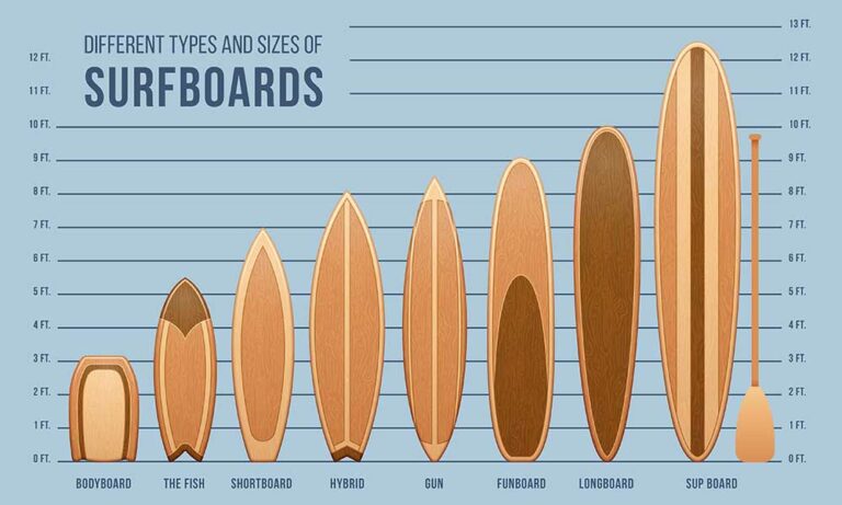 what-are-the-different-shapes-of-surfboards-the-grom-life