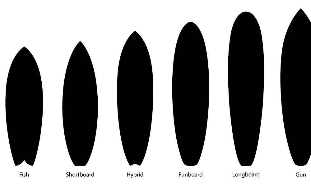 Egg vs Fish Surfboard: Which is Best? • The Grom Life