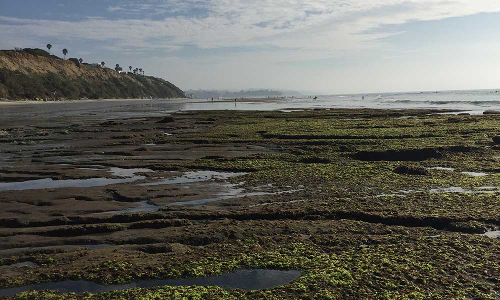 Cardiff, California at Low Tide